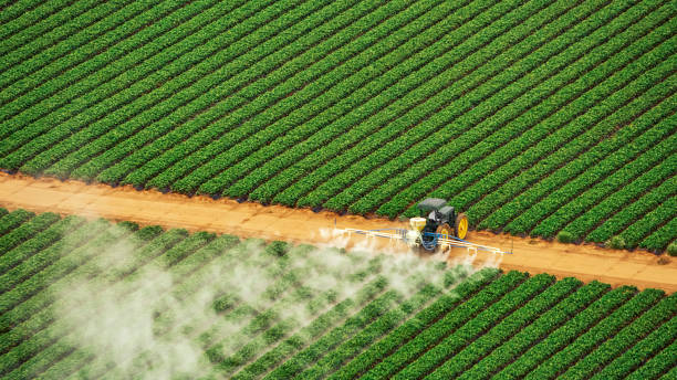 Best Mosquito Control Services  in Oak Creek, WI
