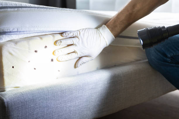 Best Wildlife Control Services  in Oak Creek, WI