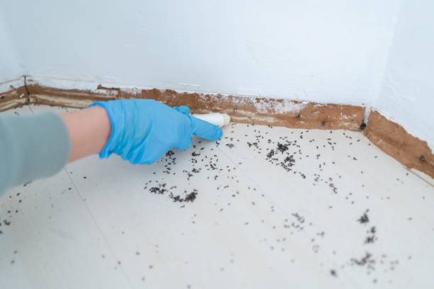 Reliable Oak Creek, WI Pest Control Solutions